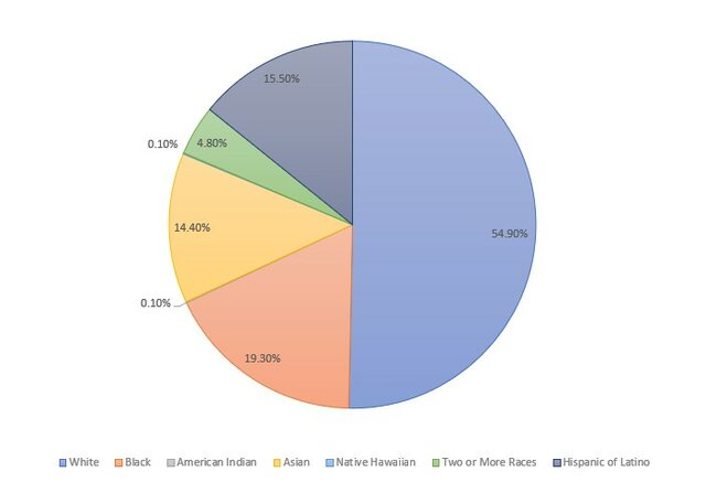 College Park Demographics