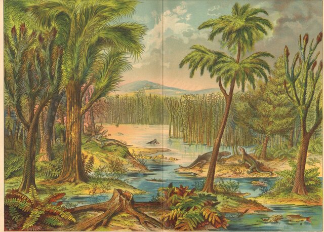 Climate event: hot and humid climate.