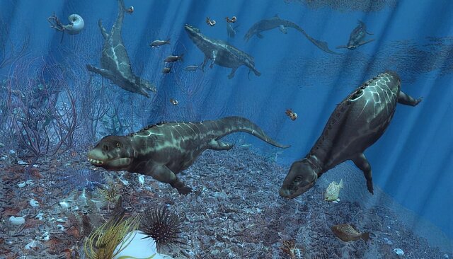 Evolution of marine life