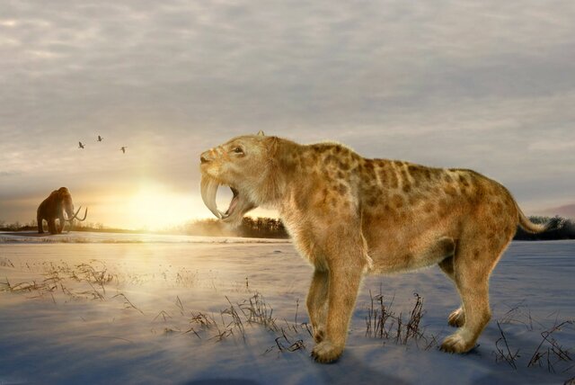 Cenozoic: Age of mammals.