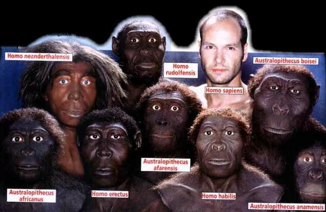 First hominids and homosapiens.