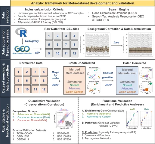 Un metadato de Microrray