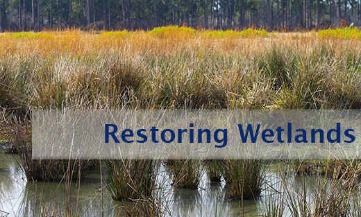 Federal Agricultural Improvements Reform