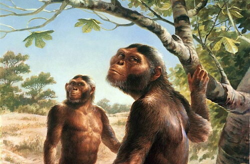 1st hominids→ 23:53