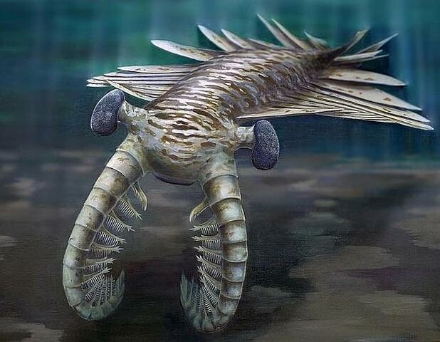 Great explosion of life→ 21:10