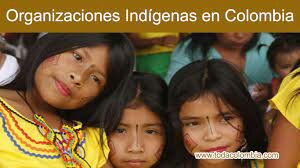 Organización indígena