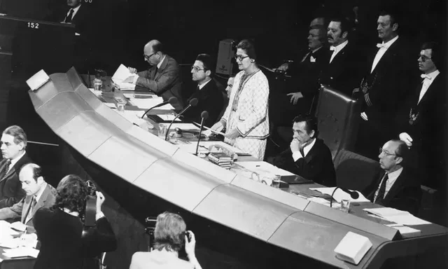 First European Elections