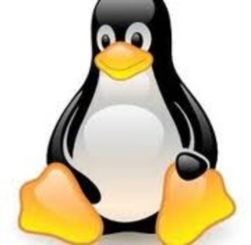Linux! Who Cares?
