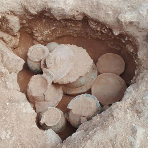 La Cultura de los Campos de Urnas