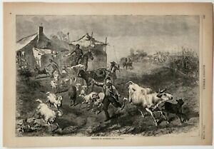 Foraging with the Regiment