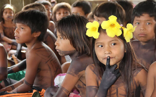 Surgimiento de educación indígena
