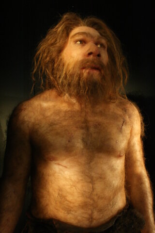 Surge el Homo Sapiens Neanderthalensis