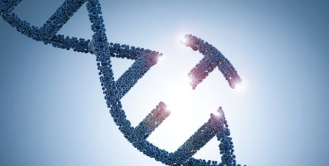 Genes que causan enfermedades concretas.