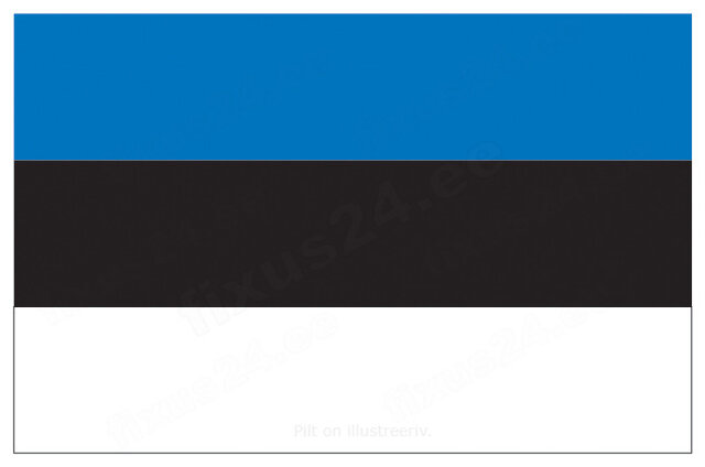 Eesti lipu väljakuulutamine