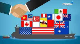 Timeline: MÉXICO SIN FRONTERAS ECONÓMICAS