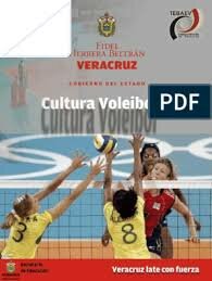 Mini Voley
