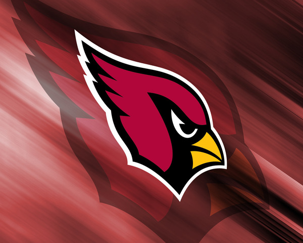 Fui con mi familia a un partido del Arizona Cardinals