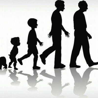 Timeline: Linea de tiempo