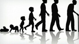 Timeline: Linea de tiempo