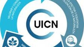 Timeline: Antecendtes Internacionales Política Biodiversidad