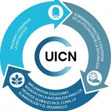 Creación UICN