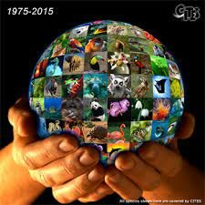 Elaboración de la CITES