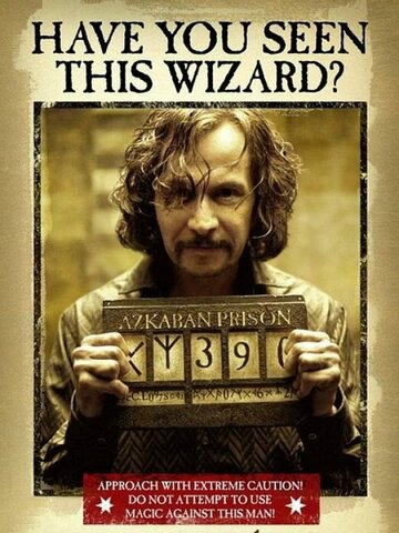 THE PRISONER OF AZKABAN