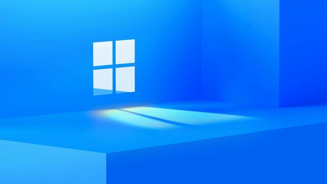 Windows 11