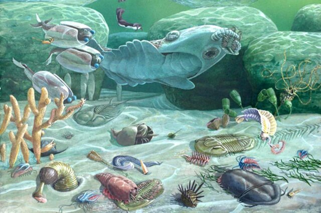 Diversficación explosiva de formas de vida marina