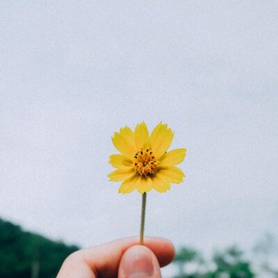 Timeline: A minha linha de tempo