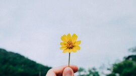 Timeline: A minha linha de tempo