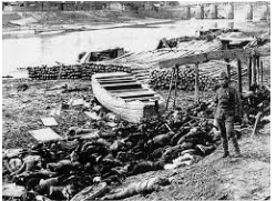 Rape of Nanking (1937)