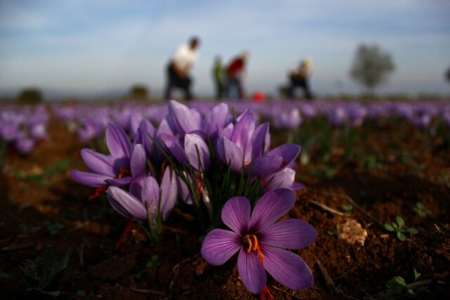 THE KIND OF ENTREPRENEUSHIP THAT CAN BE DEVELOPED