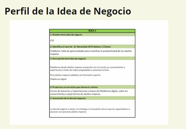 Perfil de la Idea de Negocio