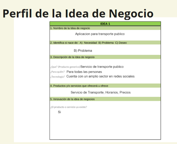 PERFIL DE LA IDEA DE NEGOCIO