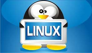 Versión 0.95 de Linux