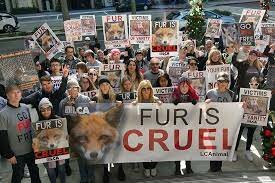 Fur Free Friday