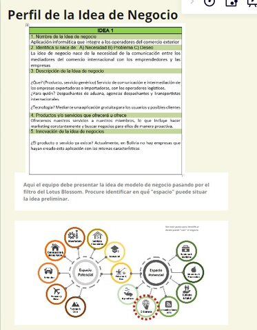 Perfil de Idea de Negocio