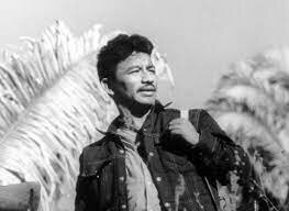 Asesinato de Genaro Vázquez