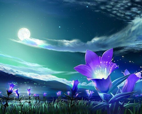 La Terrible Realidad de Ángel