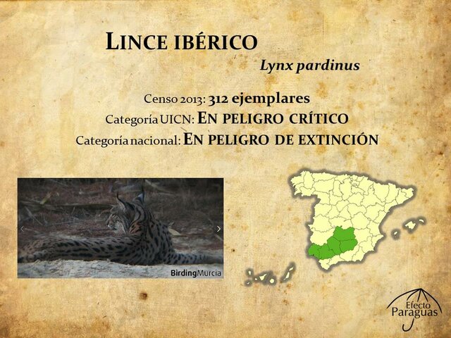 Catálogo Español de Especies Amenazadas