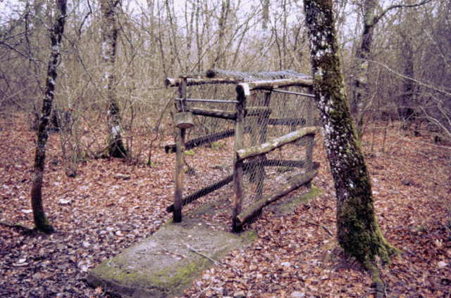 Autorización de cajas trampa en zonas de lince
