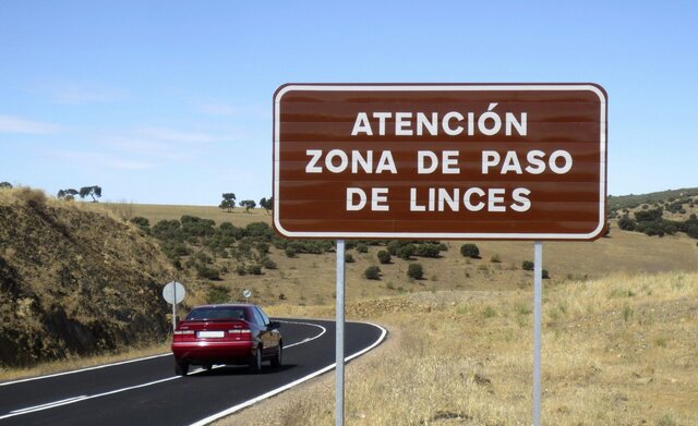 Nueva estrategia para proteger a la fauna de los atropellos