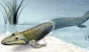 Great explosion of life--> 21:10