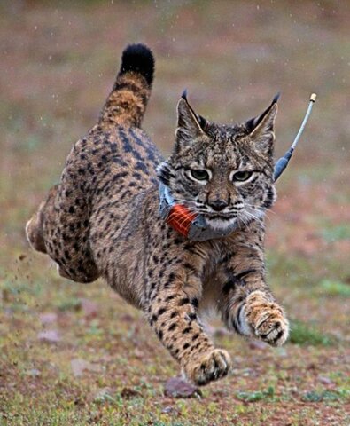 Resultado de una investigación