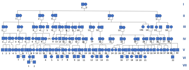 Généalogie d'une cousinade