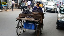 Timeline: push cart wars Noah W.