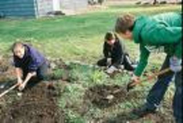 United as a Community in Service