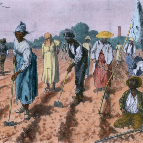 Effects of Slavery in the Carolinas