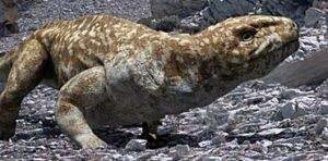 Age of the reptiles → 22:43 h